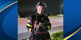 Lehigh Acres firefighter saves kitten from storm drain