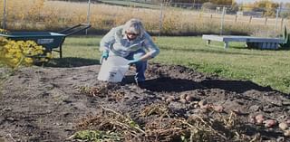 Community garden provides peaceful setting for growing food