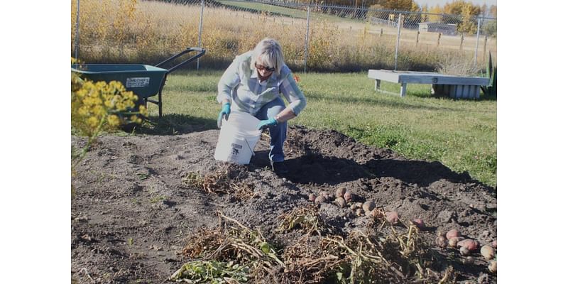 Community garden provides peaceful setting for growing food