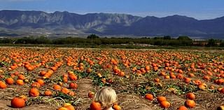 Fall 2024 events: Mazes, pumpkin patches, haunted houses, Halloween, Día de los Muertos