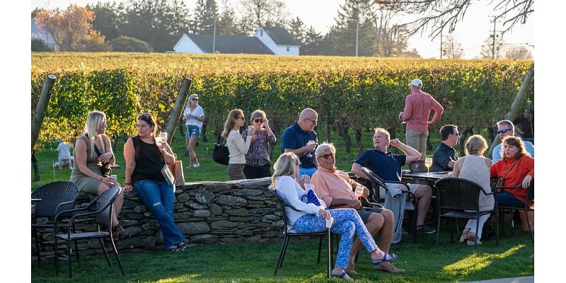 Newport Vineyards celebrates apples and autumn with their inaugural Cider Fest