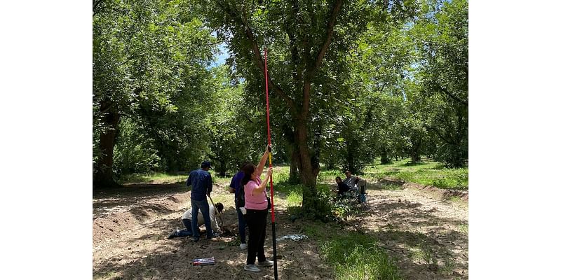 UTEP Team to Investigate Climate Change Impact on Pecan Orchards