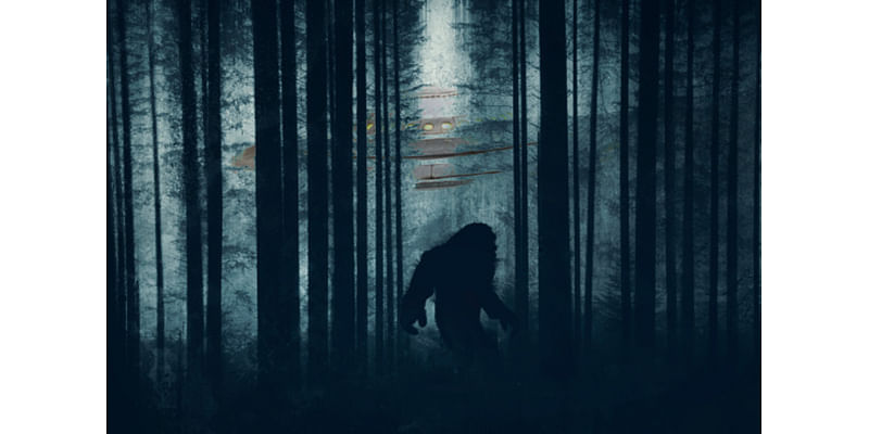 Bigfoot sighted in Connecticut again