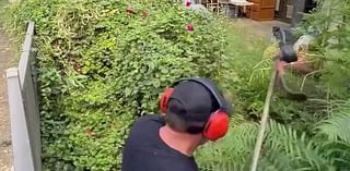 Backyard war erupts between angry neighbour and a gardener trimming hedges