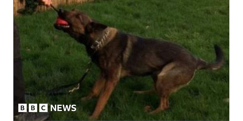 Peta calls for police dogs to be phased out