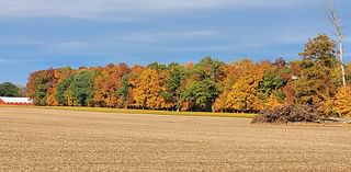 Patchy frost, cold this morning; Dry, above normal temperatures this week