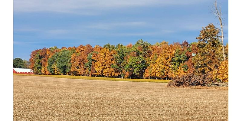 Patchy frost, cold this morning; Dry, above normal temperatures this week