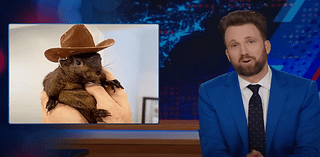 Jordan Klepper Pokes Fun at Trump Campaign’s Closing Message Focusing on Peanut the Squirrel’s Death: ‘I’m Glad Republicans Finally Care About Police Brutality’