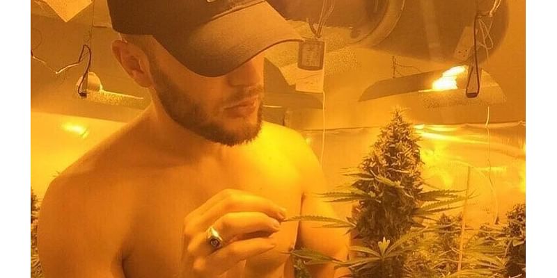 How hundreds of Albanian small boat migrants have taken over Britain's cannabis market