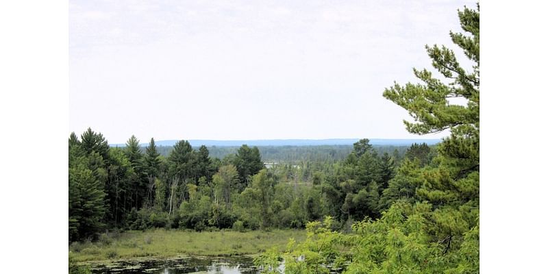 Fall color quickly developing at this rustic Up North state park