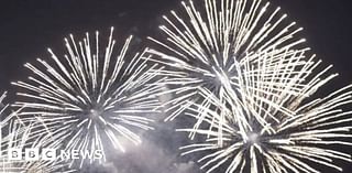 Guernsey fireworks led to 'lost and distressed' animals