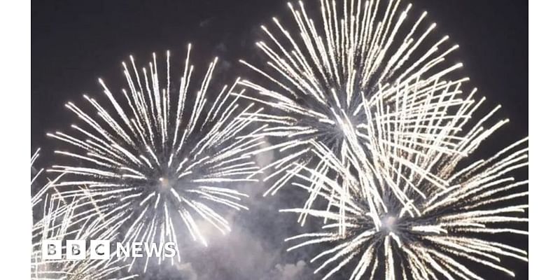 Guernsey fireworks led to 'lost and distressed' animals