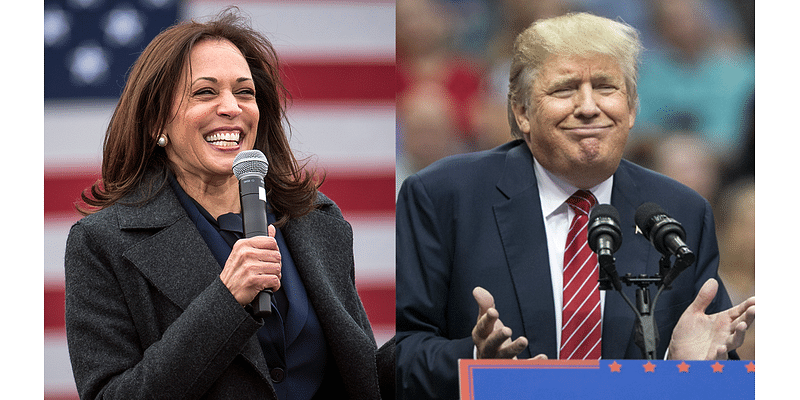 Election 2024: Latest polling shows Harris extending lead over Trump