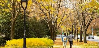 Philly broke a 150-year-old record with 30 straight days without measurable rain. How does that affect fall foliage?