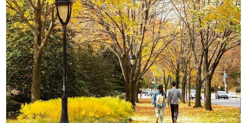 Philly broke a 150-year-old record with 30 straight days without measurable rain. How does that affect fall foliage?