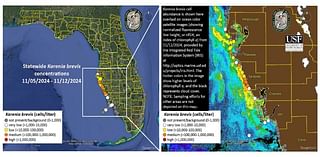 Red tide alert issued for Sarasota, Pinellas area beaches