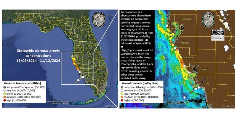 Red tide alert issued for Sarasota, Pinellas area beaches