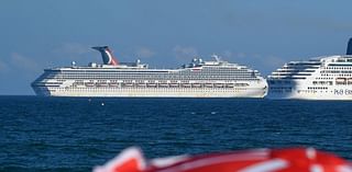 Dozens of birds fall onto deck of cruise ships during Hurricane Milton