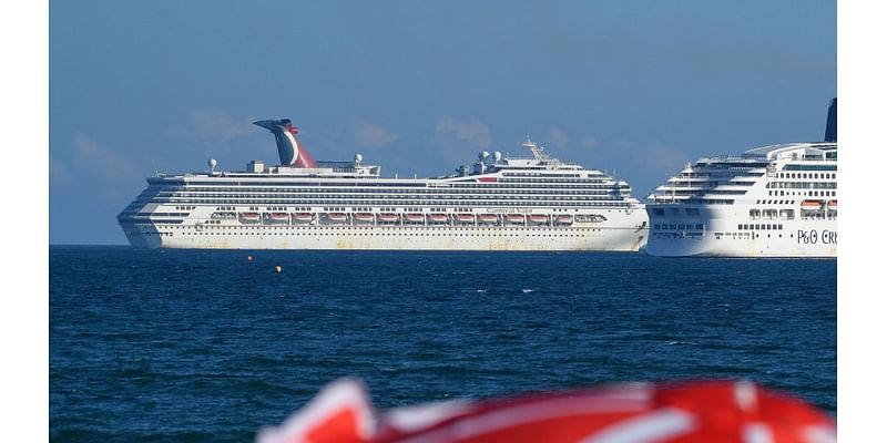 Dozens of birds fall onto deck of cruise ships during Hurricane Milton