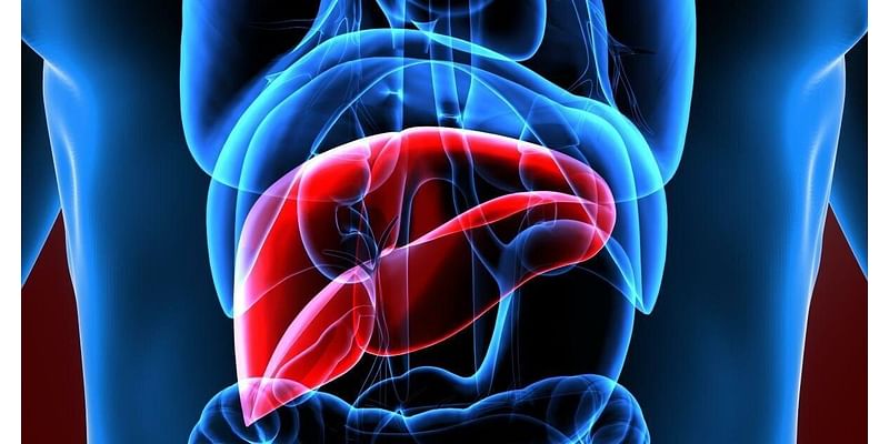 AI Helps Spot Liver Disease Early