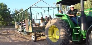 Cooler temps bring large crowds to Phoenix-area farms