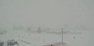 Blizzard Warning: Heavy snow falling Snowstorm in eastern New Mexico