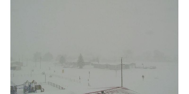 Blizzard Warning: Heavy snow falling Snowstorm in eastern New Mexico