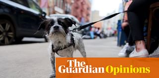 Of course I look like a crazy dog lady! I am one | Arwa Mahdawi