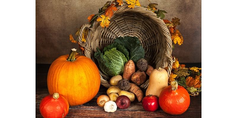 City of Venice closures and waste pickup schedule for Thanksgiving