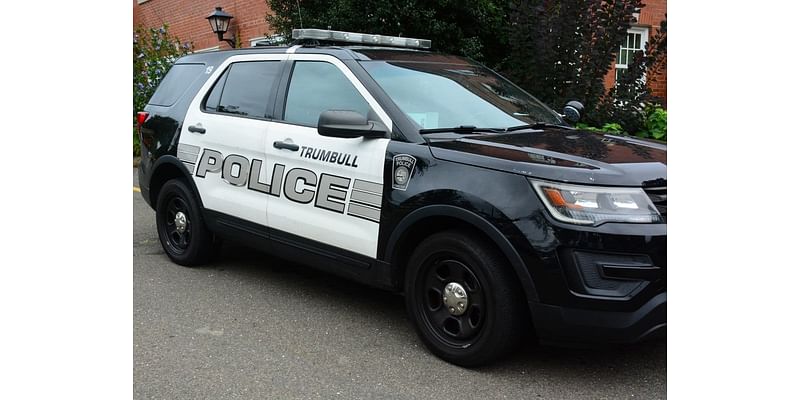 Teen Charged With Stealing Purse From Vehicle In Trumbull: Police