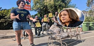 Kamala Harris' Promises 'Bold Action' on Climate After Home Targeted by Protesters