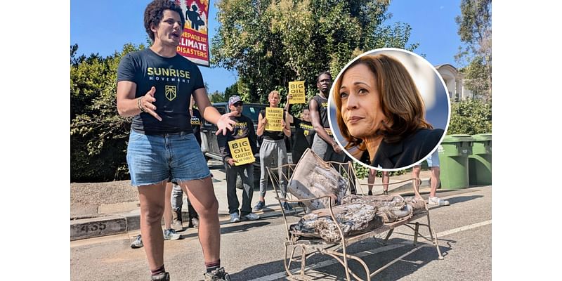 Kamala Harris' Promises 'Bold Action' on Climate After Home Targeted by Protesters