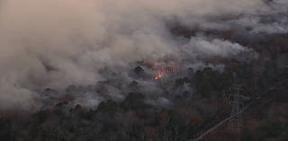 Multi-acre wildfire burns in Gloucester County, officials say