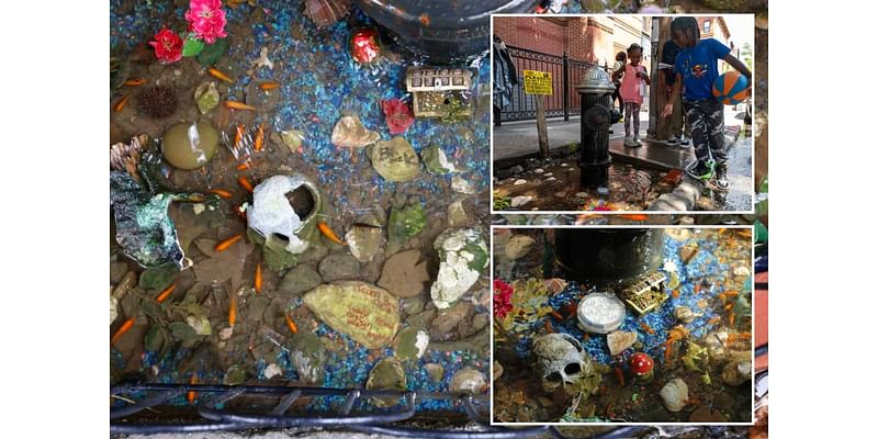 Brooklyn’s viral fire-hydrant goldfish pond is as popular as ever — but will it survive the winter?