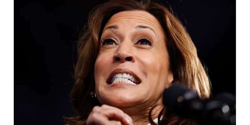 Plagiarism expert says Harris's book 'sloppy to the point of negligence,' not 'malicious'