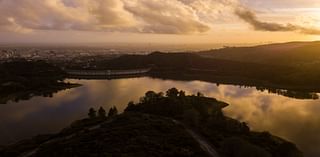 Hollywood Reservoir closed for distressed deer search