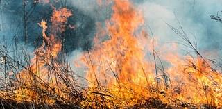 Rain slows Bitterroot fire growth