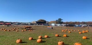 Where To Pick Pumpkins In Lacey This Fall