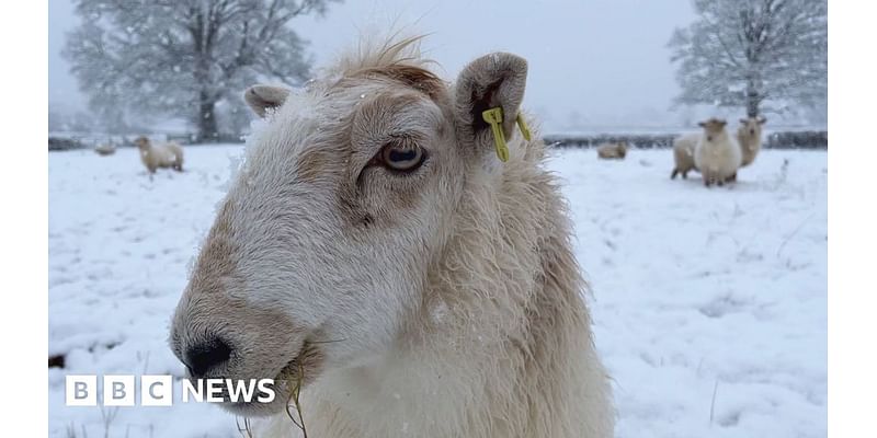 Wales snow brings first 'taste of winter' weather