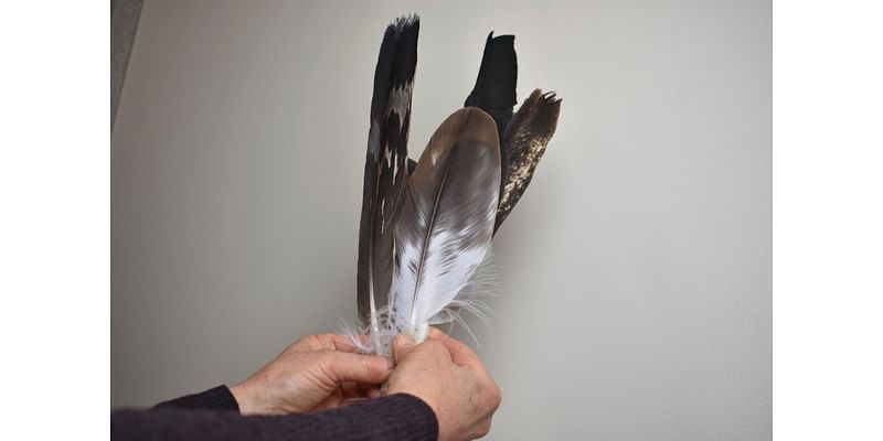 Man who killed eagles on a Native American reservation gets nearly 4 years in prison