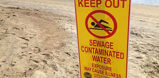 Water Contact Closures, Advisories Listed for SD County Beaches