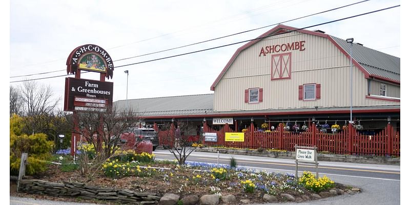 Top 5 weekend events: Ashcombe's Holiday Open House, Cumberland County Women's Expo