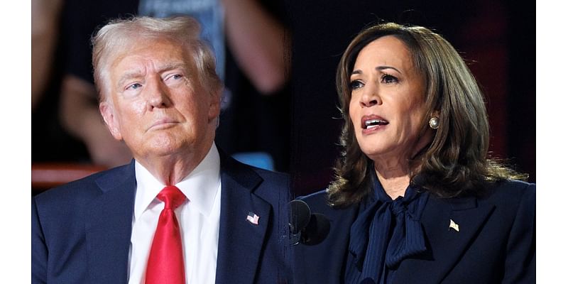 Harris leads Trump by 2 in national poll, but shows vulnerabilities with non-White voters