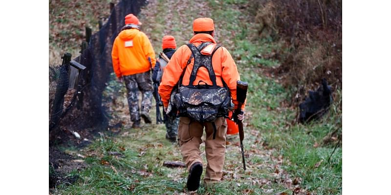 LIST: State Parks temporarily closing for deer management hunts