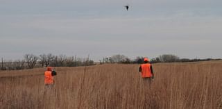 Governor's Pheasant Hunt 'brings back good memories' on Saturday