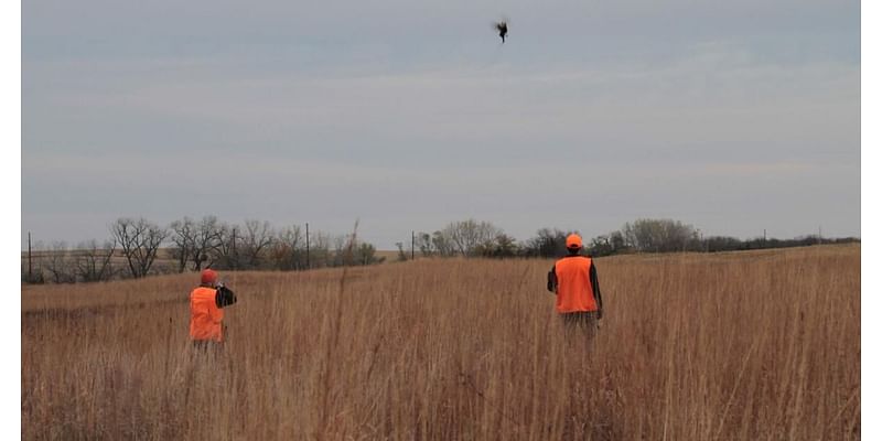 Governor's Pheasant Hunt 'brings back good memories' on Saturday