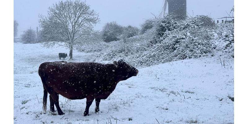 Cold snap sees parts of the East wake up to snow