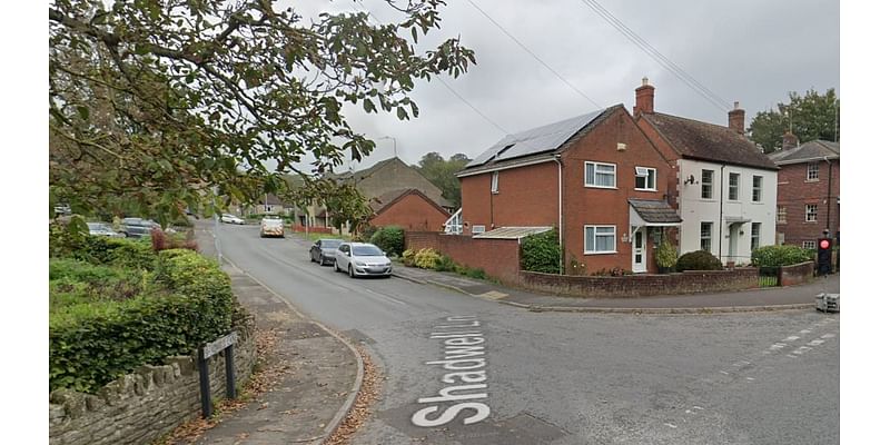 Urgent police appeal after teenage girl is 'chased down the road by man and forced into a car'