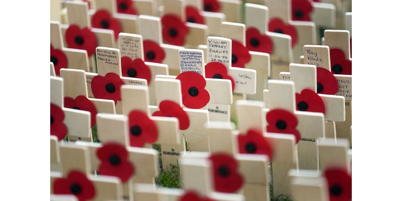 Armistice Day: What is the history behind the Remembrance commemoration?