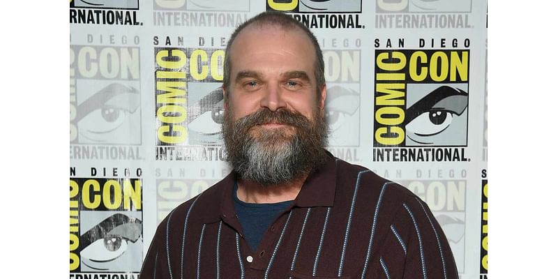 David Harbour Calls Stranger Things Series Finale 'The Best' Episode, Reveals the Cast Was 'Uncontrollably Sobbing'